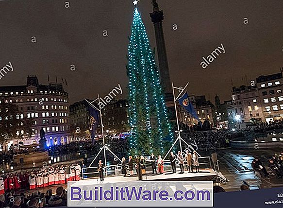 Beleuchtung Des National Christmas Tree