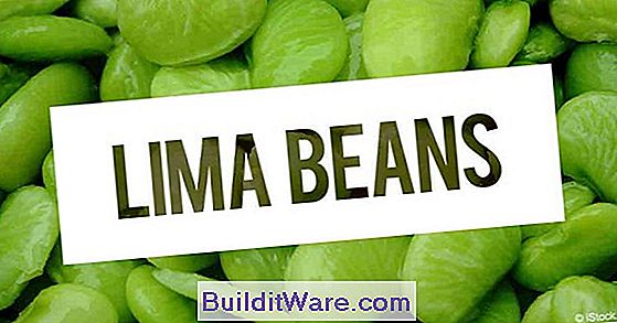 Lima Bean Facts