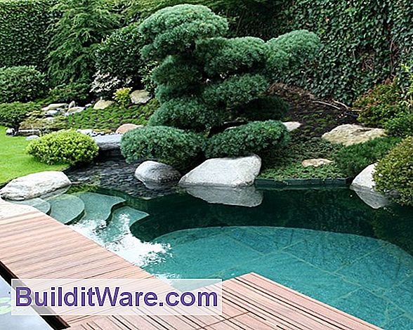 So bauen Sie einen Wassergarten mit Wasserfall
