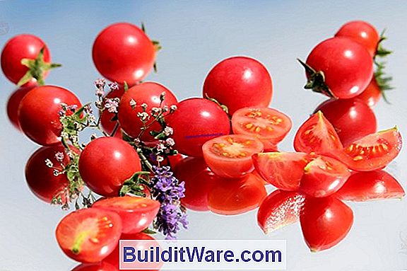 Wachsende Schmackhafte Tomaten