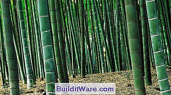 Wie Wird Bambusparkett Hergestellt?