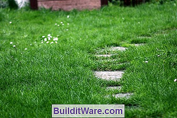 Rasenpflege-Tipps: Das Gras Ins Rollen Bringen - Und Grün