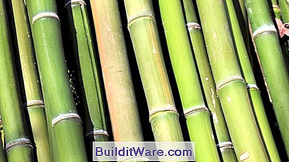 Bambu Golvproblem