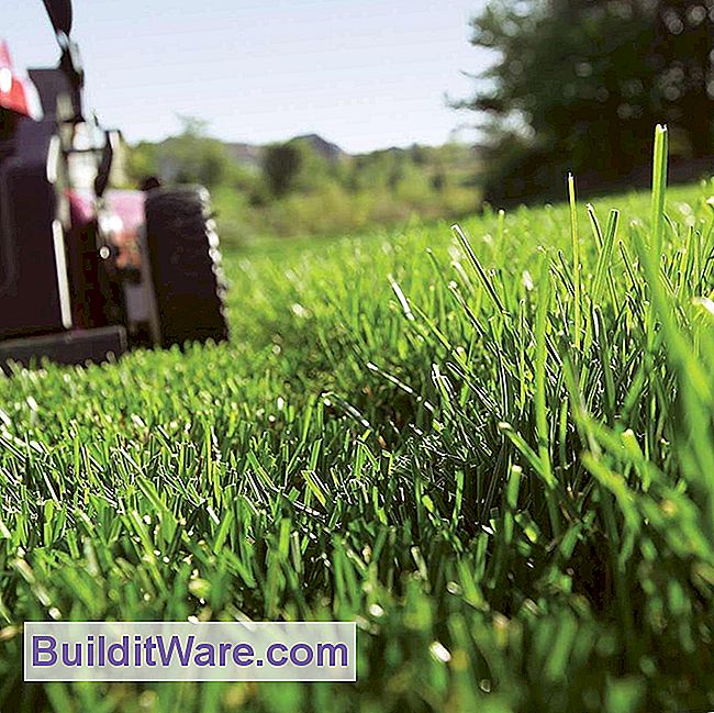 Die besten natürlichen und organischen grünen Rasenpflege Tipps
